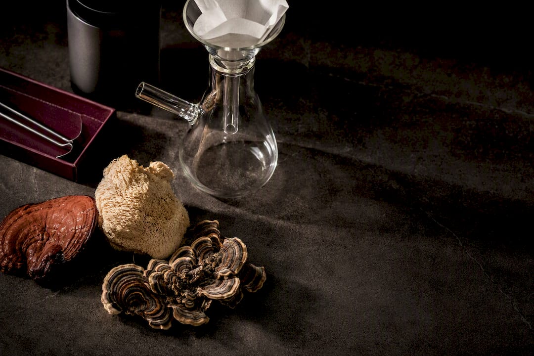 Mushroom materials beside an extraction vessel