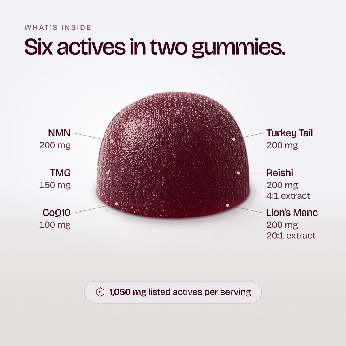 What’s inside two gummies: NMN 200 mg, Turkey Tail 200 mg, Reishi 200 mg, Lion’s Mane 200 mg, TMG 150 mg, CoQ10 100 mg